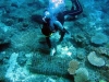 112_1292-copy