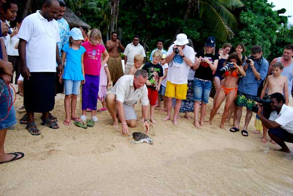 Turtle Project finally launched