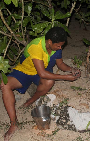 Cops crack whip on turtle harvest