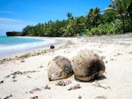 Climate service to help region