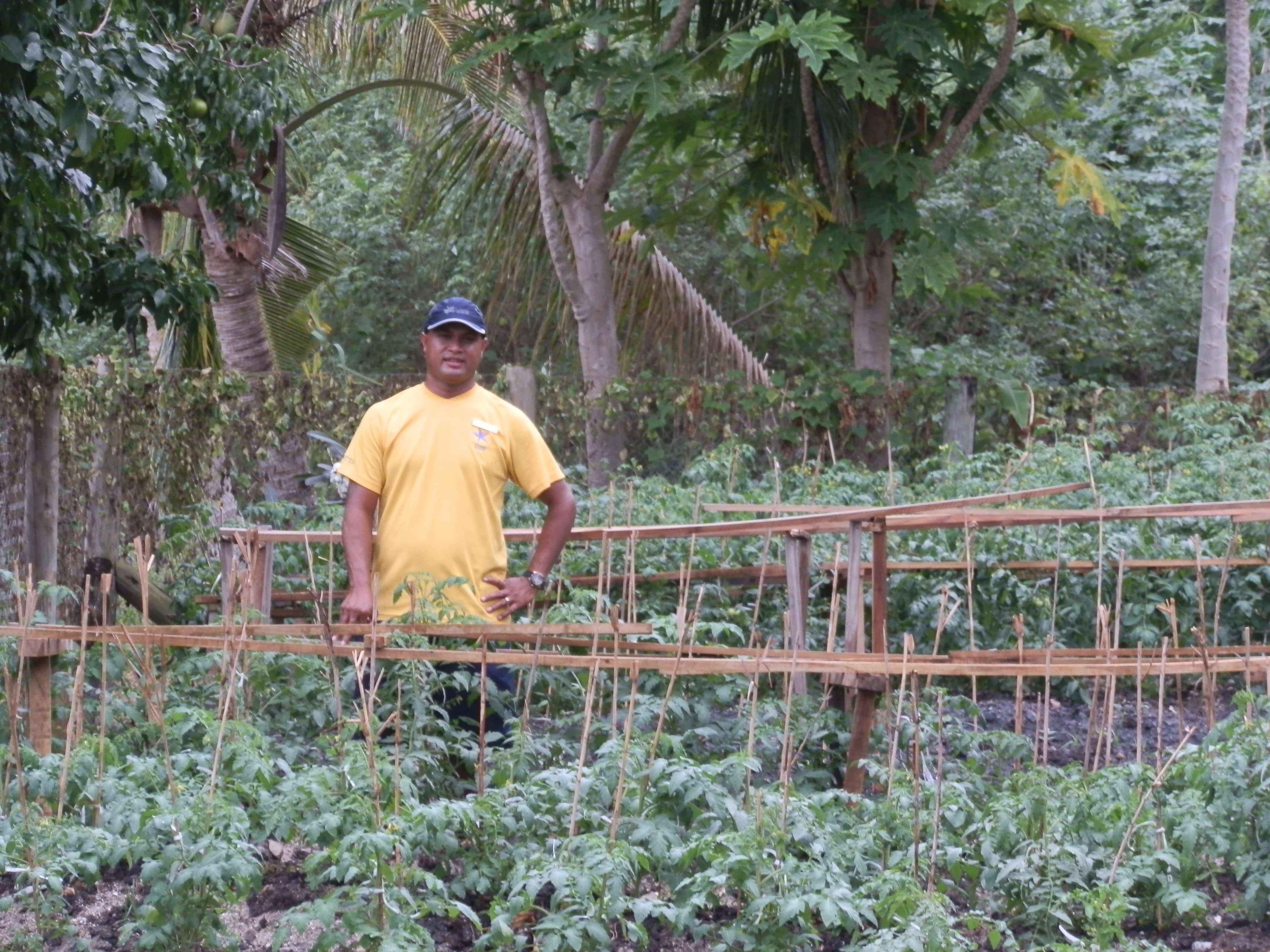 Castaway Island Resort pilot vegetable organic farming project