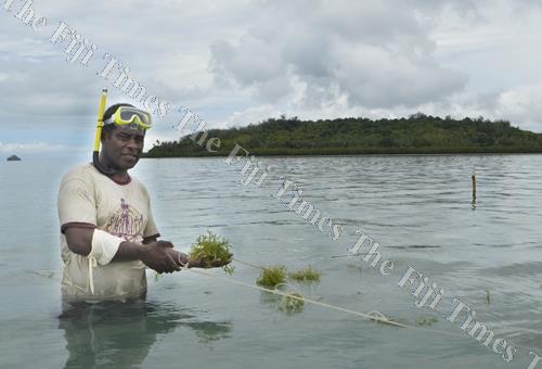 External News Stories about the Fiji Environment…