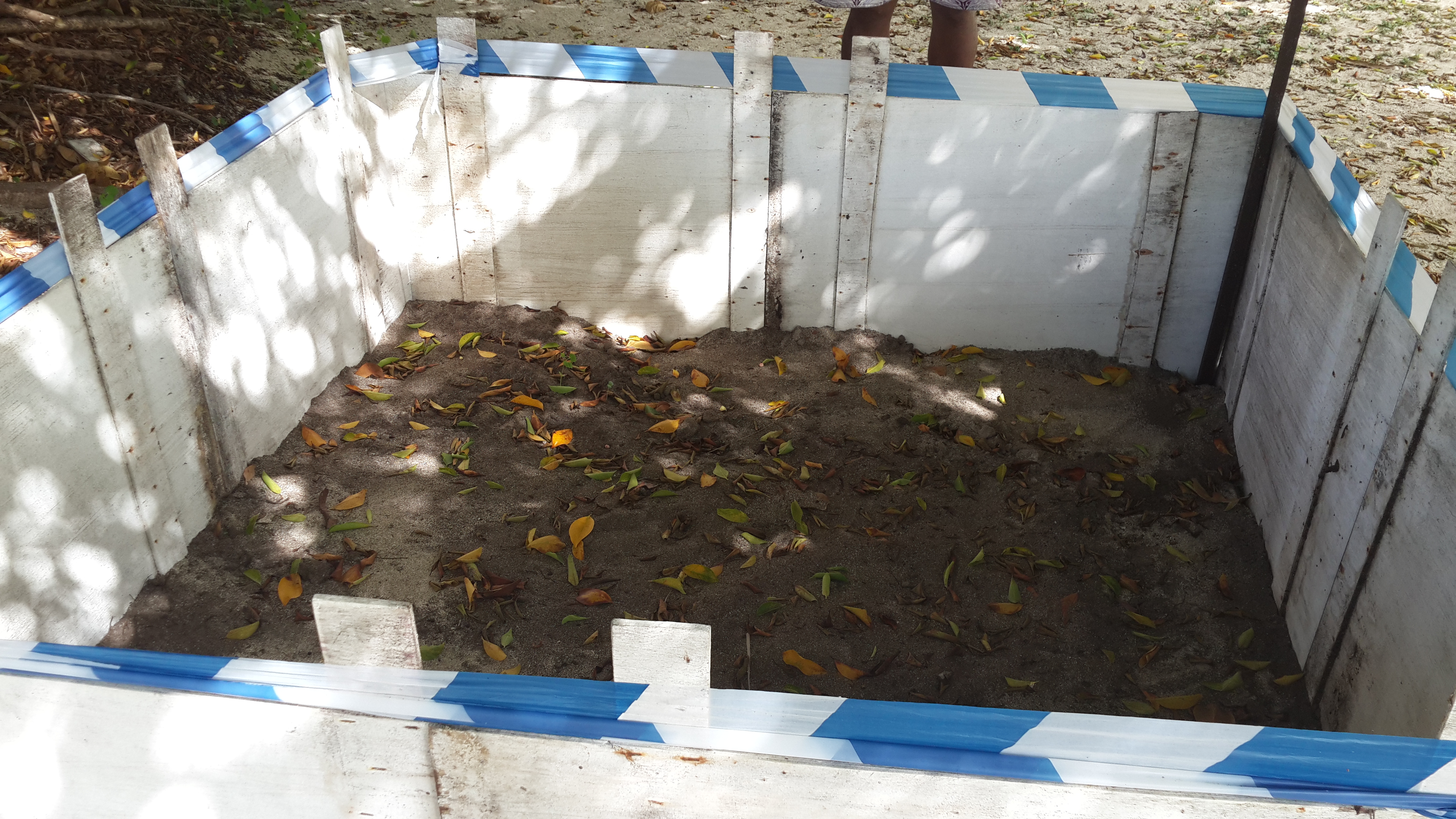 Turtle Nesting In Bounty