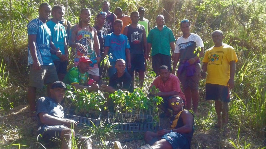 For The Community Youth Group Establish Agroforestry Plot 